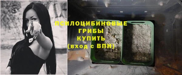 мяу мяу мука Аркадак
