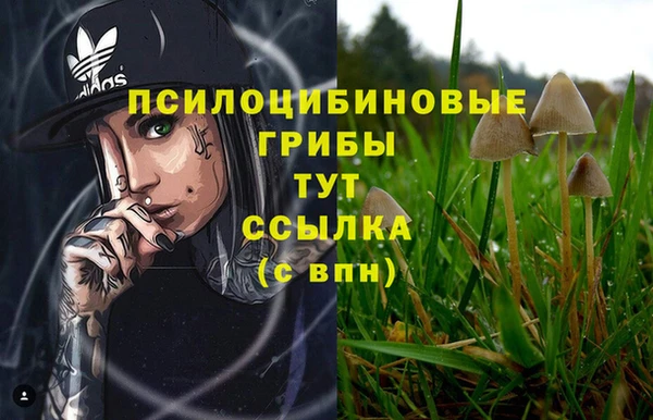 mix Армянск