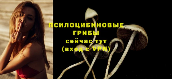 герыч Сосновоборск