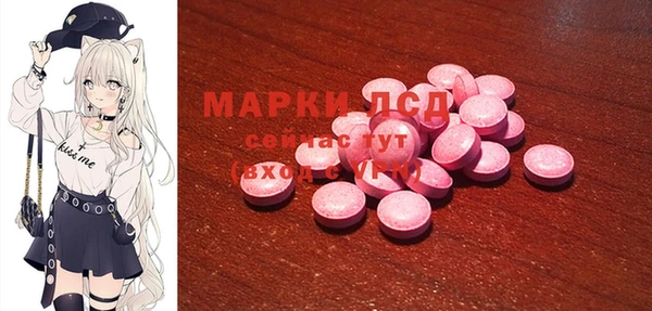 мяу мяу мука Аркадак