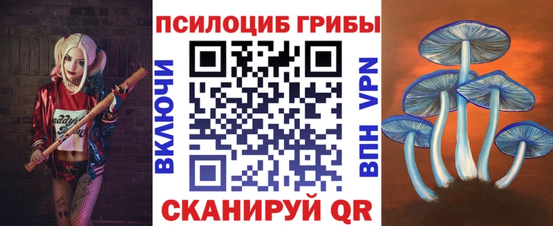 Галлюциногенные грибы прущие грибы  Вязьма 